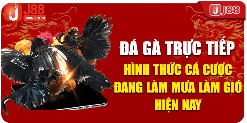 Giới thiệu không gian đá gà trực tiếp tại J88