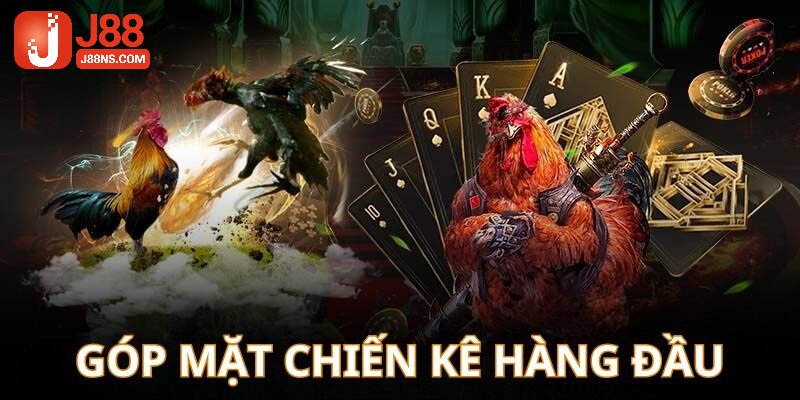 Chiến kê tham gia đá gà J88 có kỹ năng cực tốt